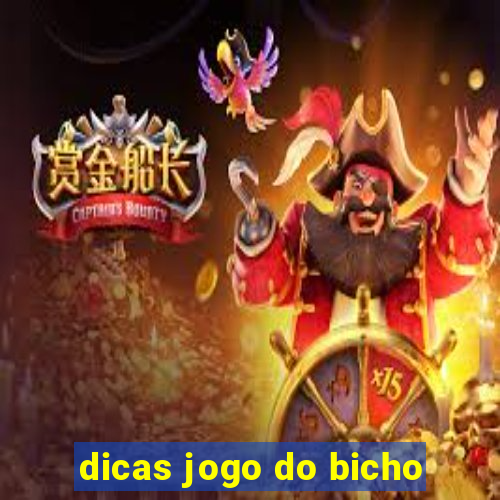 dicas jogo do bicho